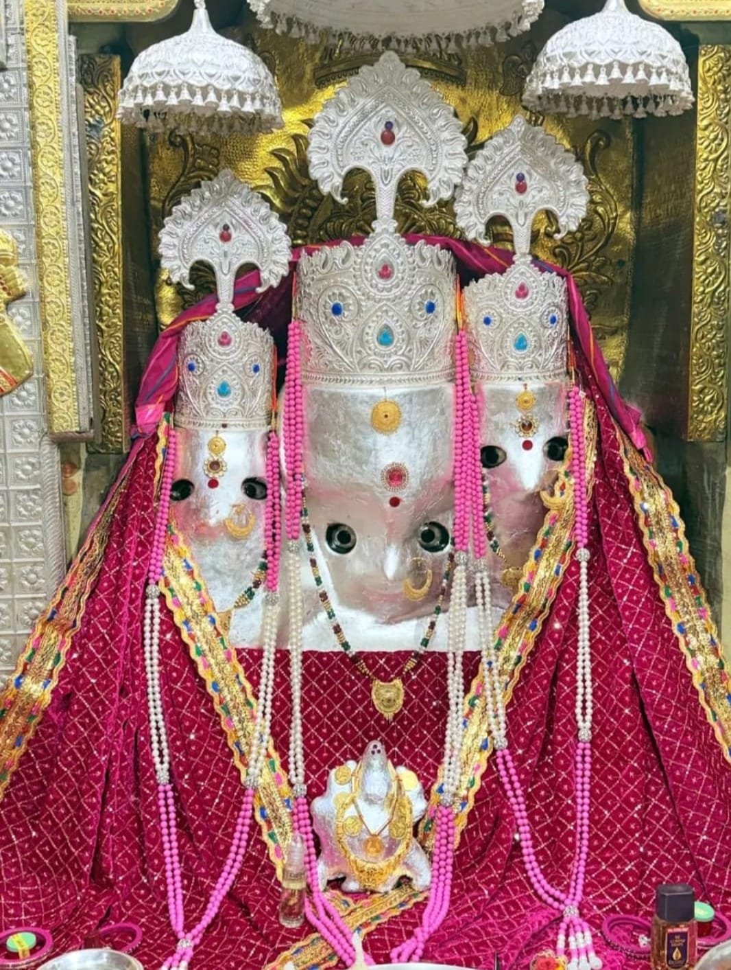 Baglamukhi Purushcharan Mahayagya